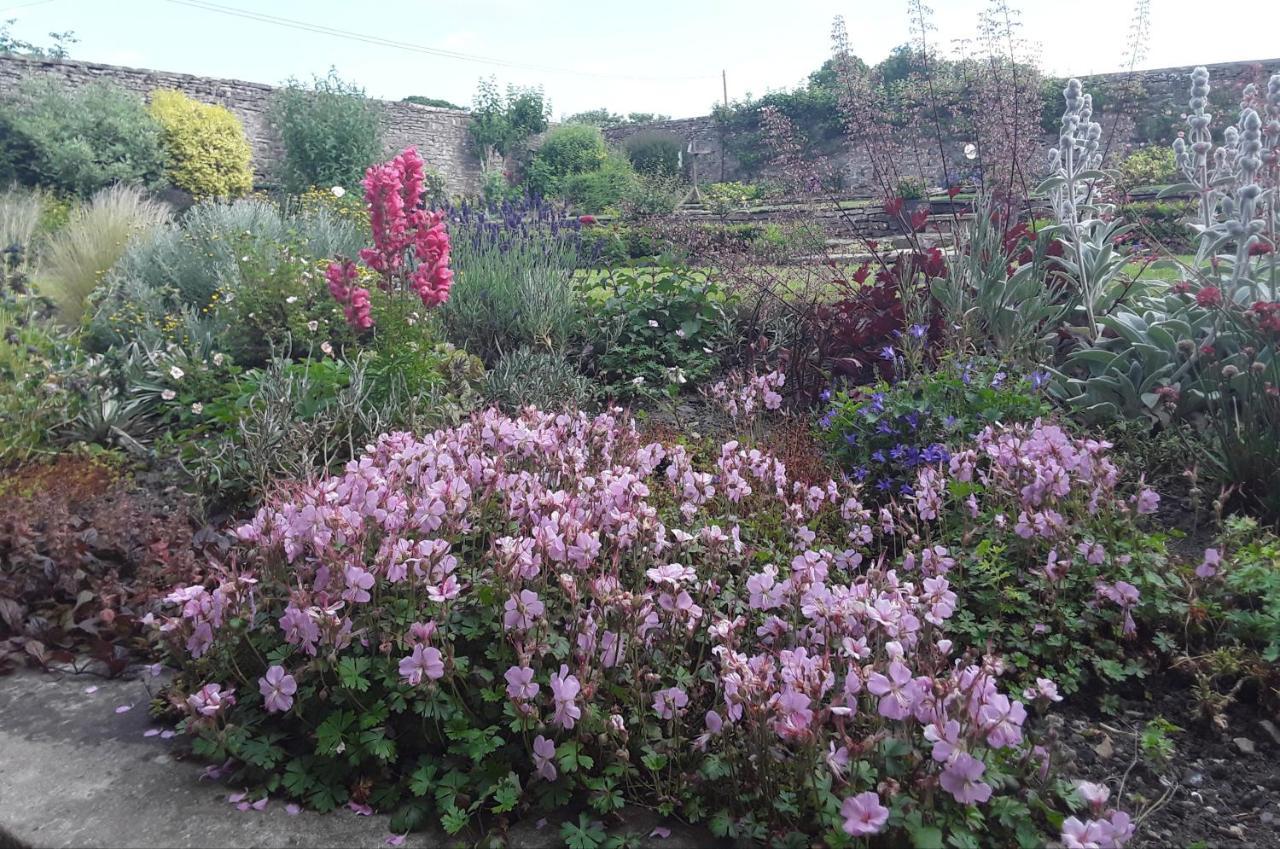 Ellerton Lodge Bed&Breakfast Swaledale Richmond  Exterior foto