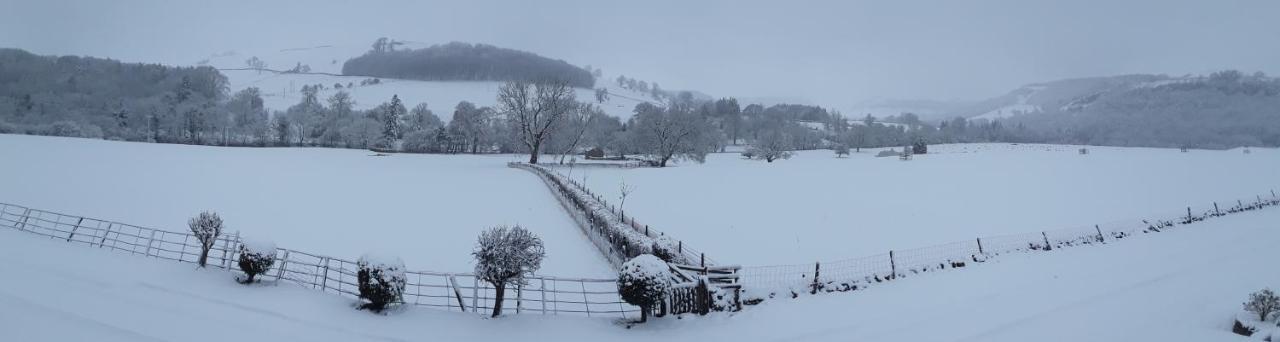 Ellerton Lodge Bed&Breakfast Swaledale Richmond  Exterior foto