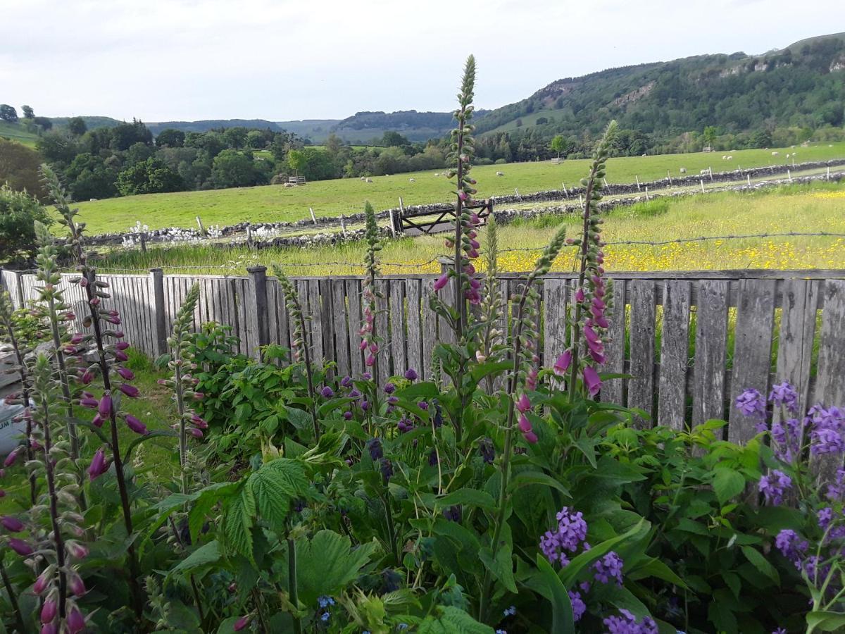 Ellerton Lodge Bed&Breakfast Swaledale Richmond  Exterior foto