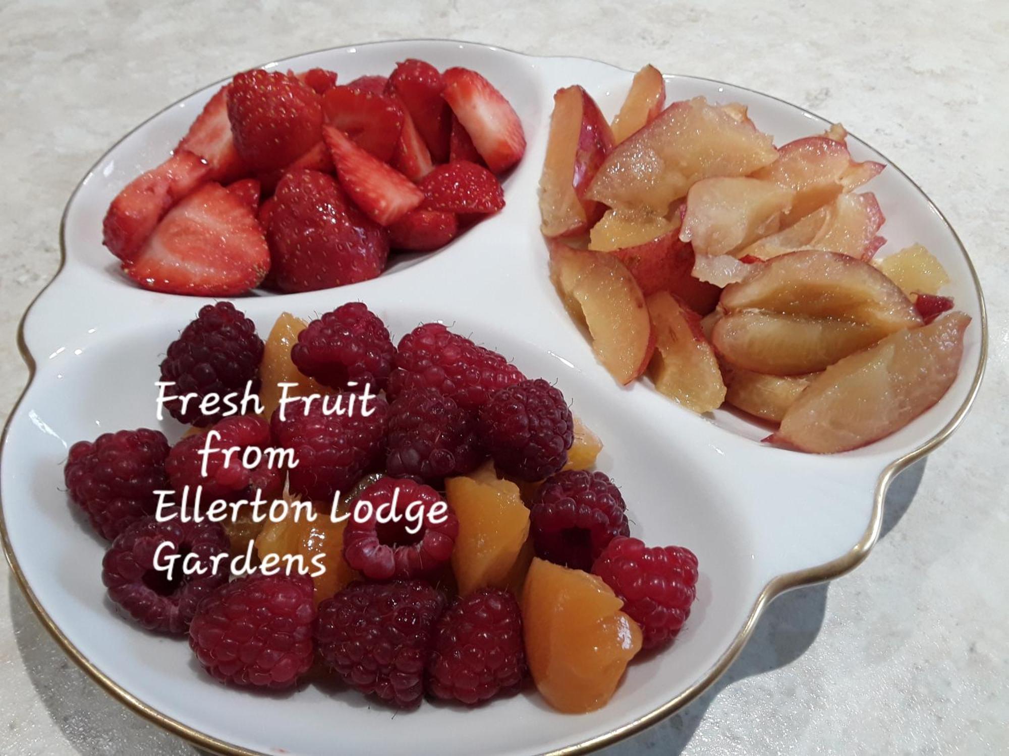 Ellerton Lodge Bed&Breakfast Swaledale Richmond  Exterior foto